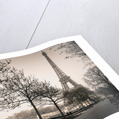 Pathway to Eiffel tower, Paris by Assaf Frank